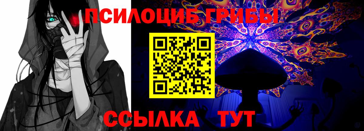 Галлюциногенные грибы мицелий  Галлюциногенные грибы Psilocybine cubensis  Вход с VPN  Северобайкальск 